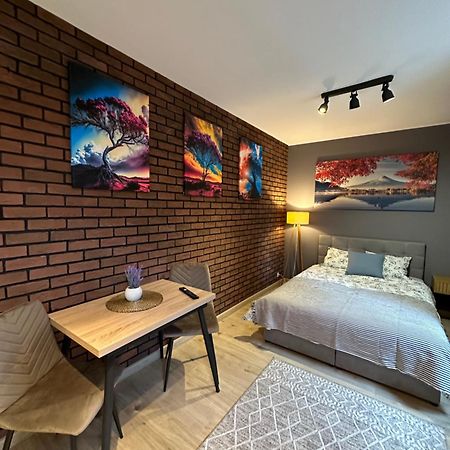 Apartamenty 1 Maja 94 Катовице Экстерьер фото
